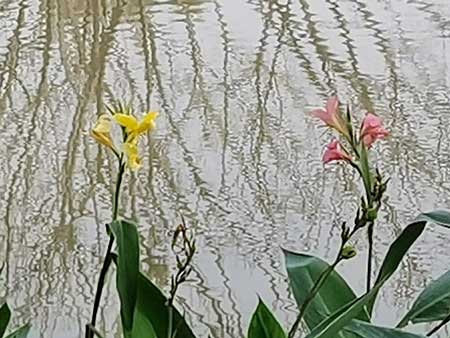 image9-(1).jpg